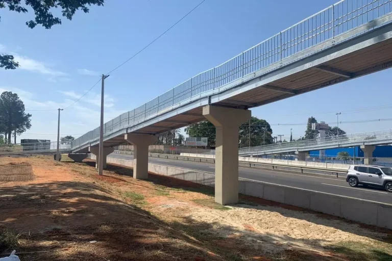 Infraestrutura Viária (7)