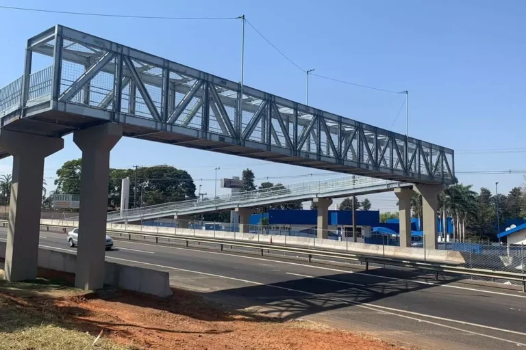 Infraestrutura Viária (8)